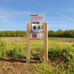 Mobilier interactif – Cœur du vignoble