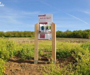 Signalétique touristique - Mobilier interactif - Cœur du vignoble - Fabrication PIC BOIS