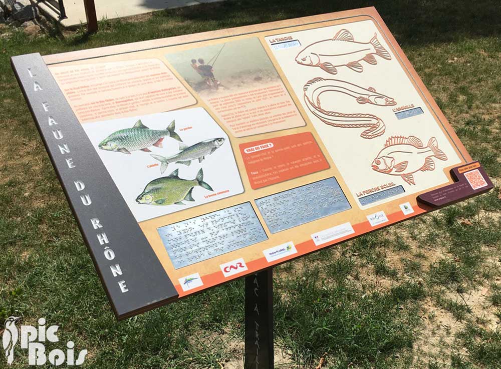 Signalétique touristique - Table de lecture - Faune du Rhône - Fabrication PIC BOIS