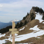 Directionnel sentier – Compact beige