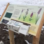 Mobilier interactif – Flore du lac