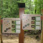 Parcours sensoriel – Borne sonore faune
