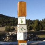 Mobilier interactif – BQR sapin