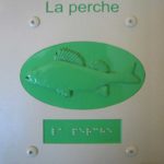 Plaque thématique – La perche