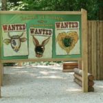 Panneau de jeu – Panneau photo Wanted