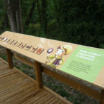 Mobilier interactif – La flore locale