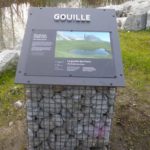 Table de lecture – Découvrir la mare
