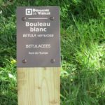Plaque arboretum – Boulot blanc