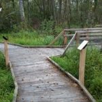 Plaque thématique – Sentier du marais