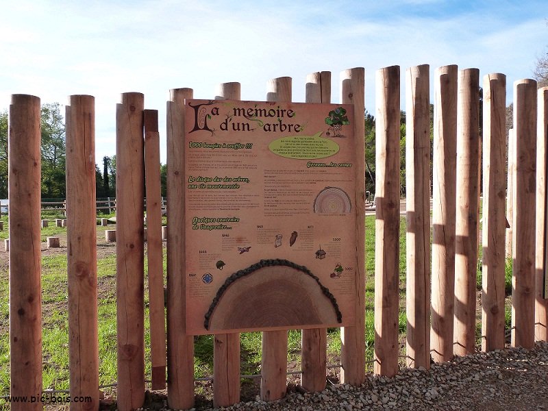 Signalétique touristique - Panneau d'information - Relief arbre - Fabrication PIC BOIS