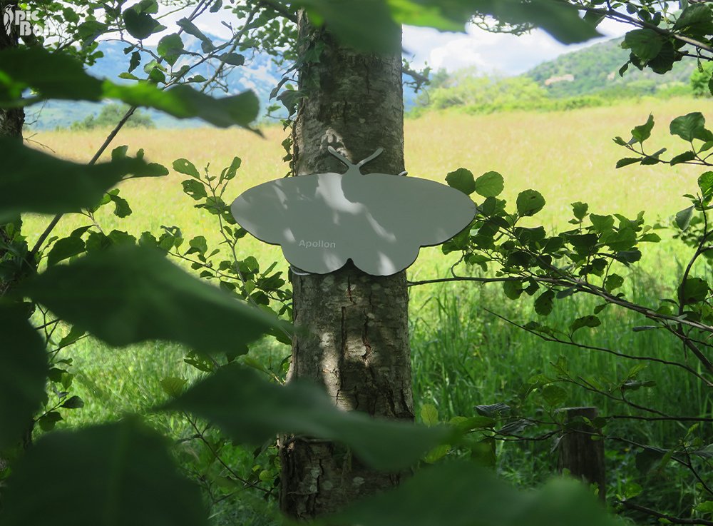 Signalétique touristique - Silhouette - Papillon - Fabrication PIC BOIS