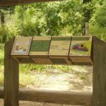 Mobilier interactif – Le parc animalier