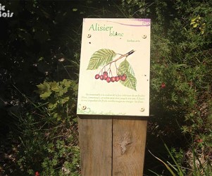 Signalétique touristique - Plaque arboretum - Alisier blanc - Fabrication PIC BOIS
