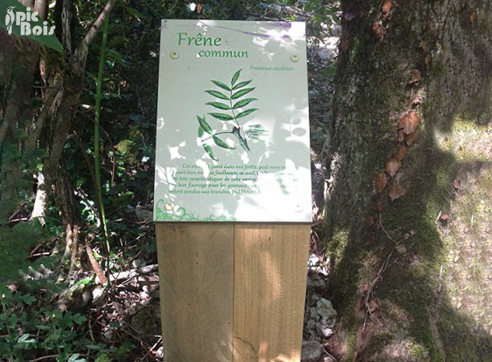 Signalétique touristique - Plaque arboretum - Frêne commun - Fabrication PIC BOIS
