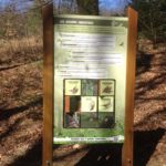 Mobilier interactif – La forêt