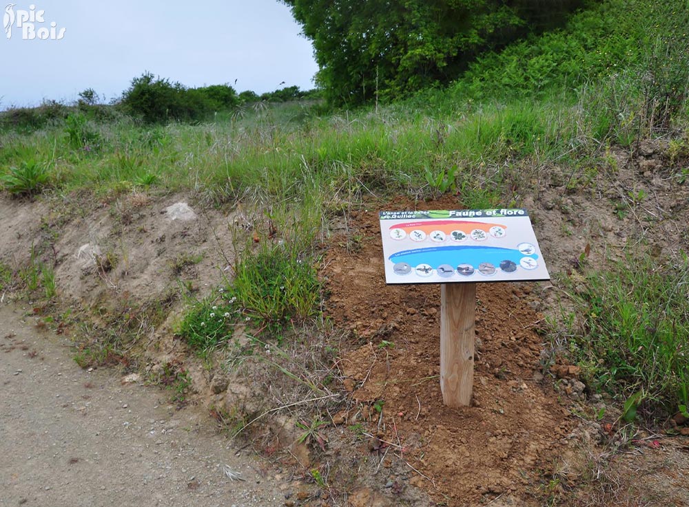 Signalétique touristique - Table de lecture - Espèces représentées - Fabrication PIC BOIS