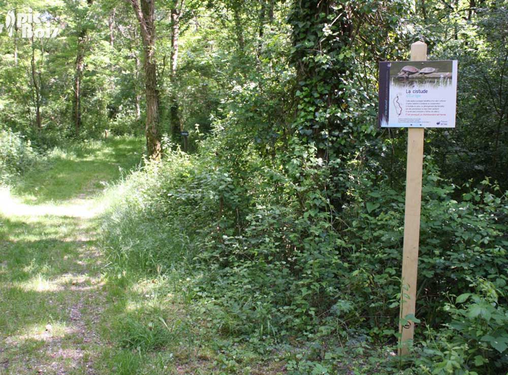 Signalétique touristique - Plaque thématique - La cistude - Fabrication PIC BOIS
