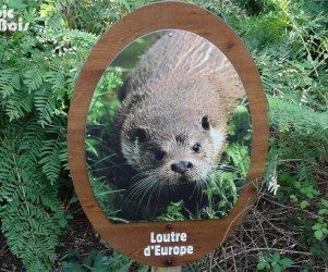 Signalétique touristique - Plaque thématique - Loutre d'Europe - Fabrication PIC BOIS