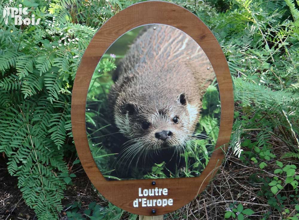 Signalétique touristique - Plaque thématique - Loutre d'Europe - Fabrication PIC BOIS