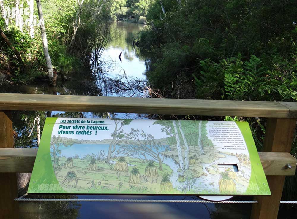 Signalétique touristique - Table de lecture - Illustrations marais - Fabrication PIC BOIS