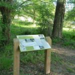 Table de lecture – Descriptif poissons