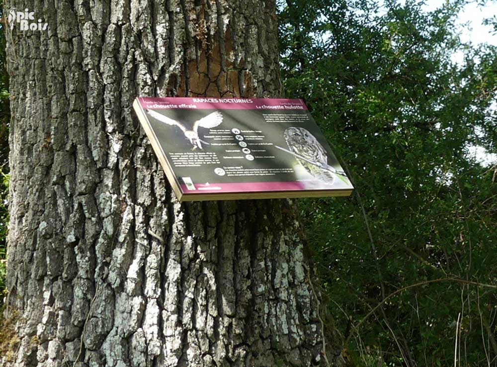 Signalétique touristique - Table de lecture - Rapaces nocturnes - Fabrication PIC BOIS