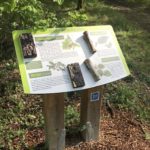 Table de lecture – Les écorces