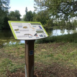 Table de lecture – La faune de l&rsquo;étang