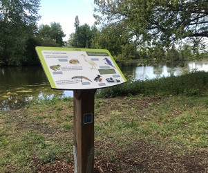 Signalétique touristique - Table de lecture - La faune de l'étang - Fabrication PIC BOIS