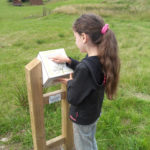 Mobilier interactif – Les plantes