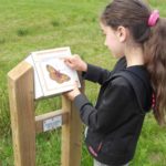 Mobilier interactif – Borne papillons