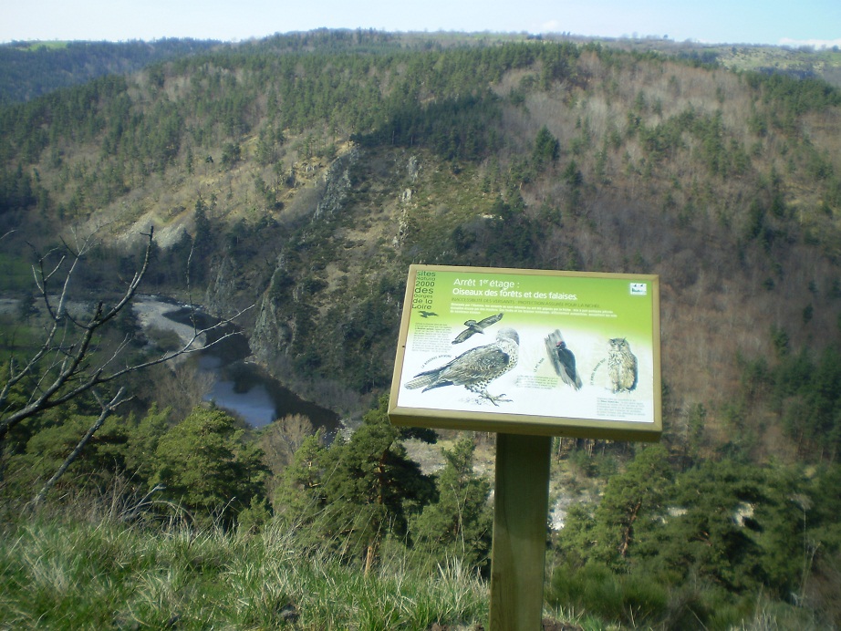 Signalétique touristique - Plaque thématique - Oiseaux des forêts - Fabrication PIC BOIS