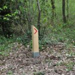 Balisage – Enjeux de la forêt