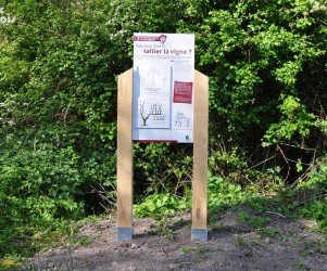 Signalétique touristique - Plaque thématique - Taille de la vigne - Fabrication PIC BOIS