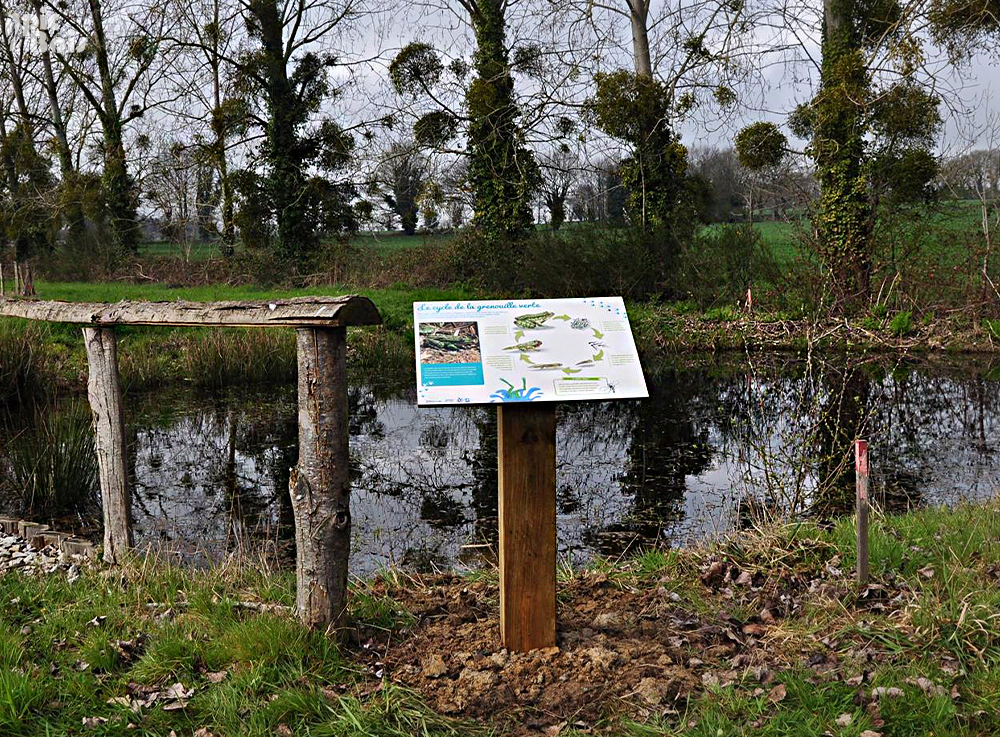 Signalétique touristique - Table de lecture - La grenouille verte - Fabrication PIC BOIS