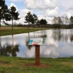 Table de lecture – Didactique mare