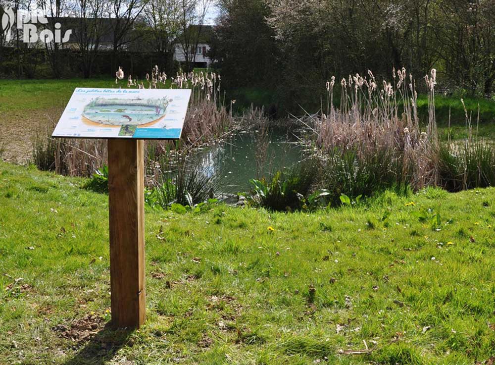Signalétique touristique - Table de lecture - Mare et ses insectes - Fabrication PIC BOIS