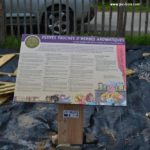 Table de lecture – Herbes aromatiques