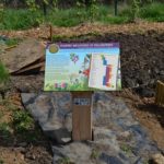 Table de lecture – Plantes méllifères