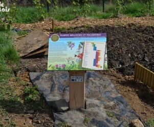 Signalétique touristique - Table de lecture - Plantes méllifères - Fabrication PIC BOIS