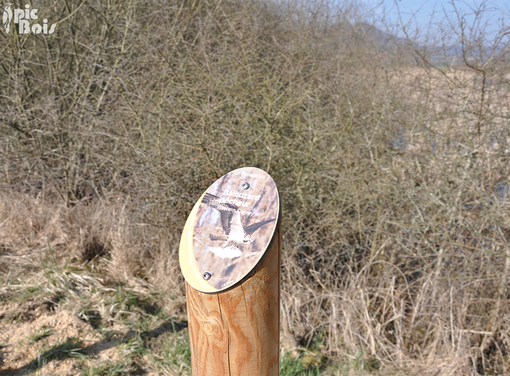 Signalétique touristique - Plaque thématique  - Les oiseaux - Fabrication PIC BOIS