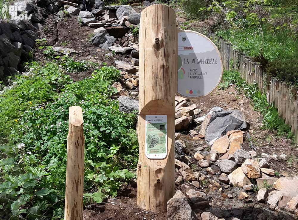 Signalétique touristique - Totem - Observation des plantes - Fabrication PIC BOIS