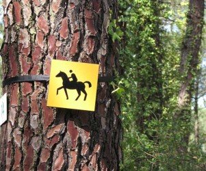 Signalétique touristique - Balisage - Jalon sur arbre - Fabrication PIC BOIS