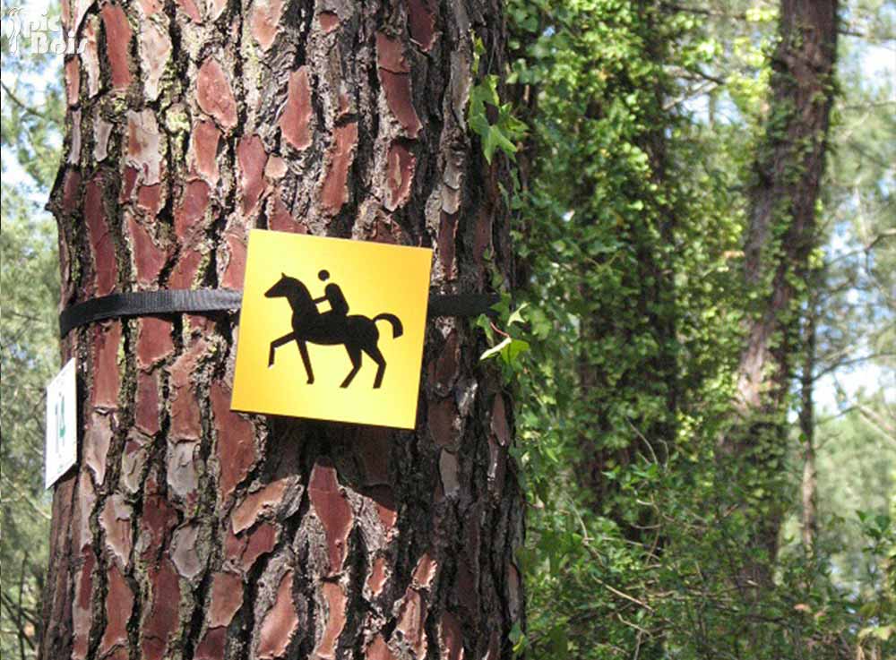 Signalétique touristique - Balisage - Jalon sur arbre - Fabrication PIC BOIS
