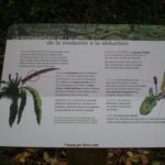 Plaque arboretum – Flore locale