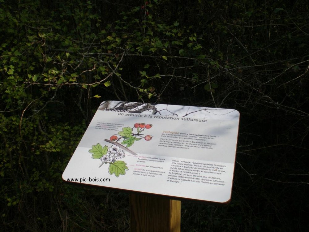 Signalétique touristique - Plaque arboretum - Illustration - Fabrication PIC BOIS