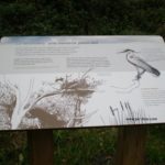 Table de lecture – La héronnière