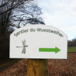 Directionnel sentier – Libellule