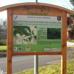Panneau d’information – Les libellules