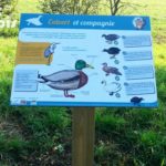 Table de lecture – Thématique canards